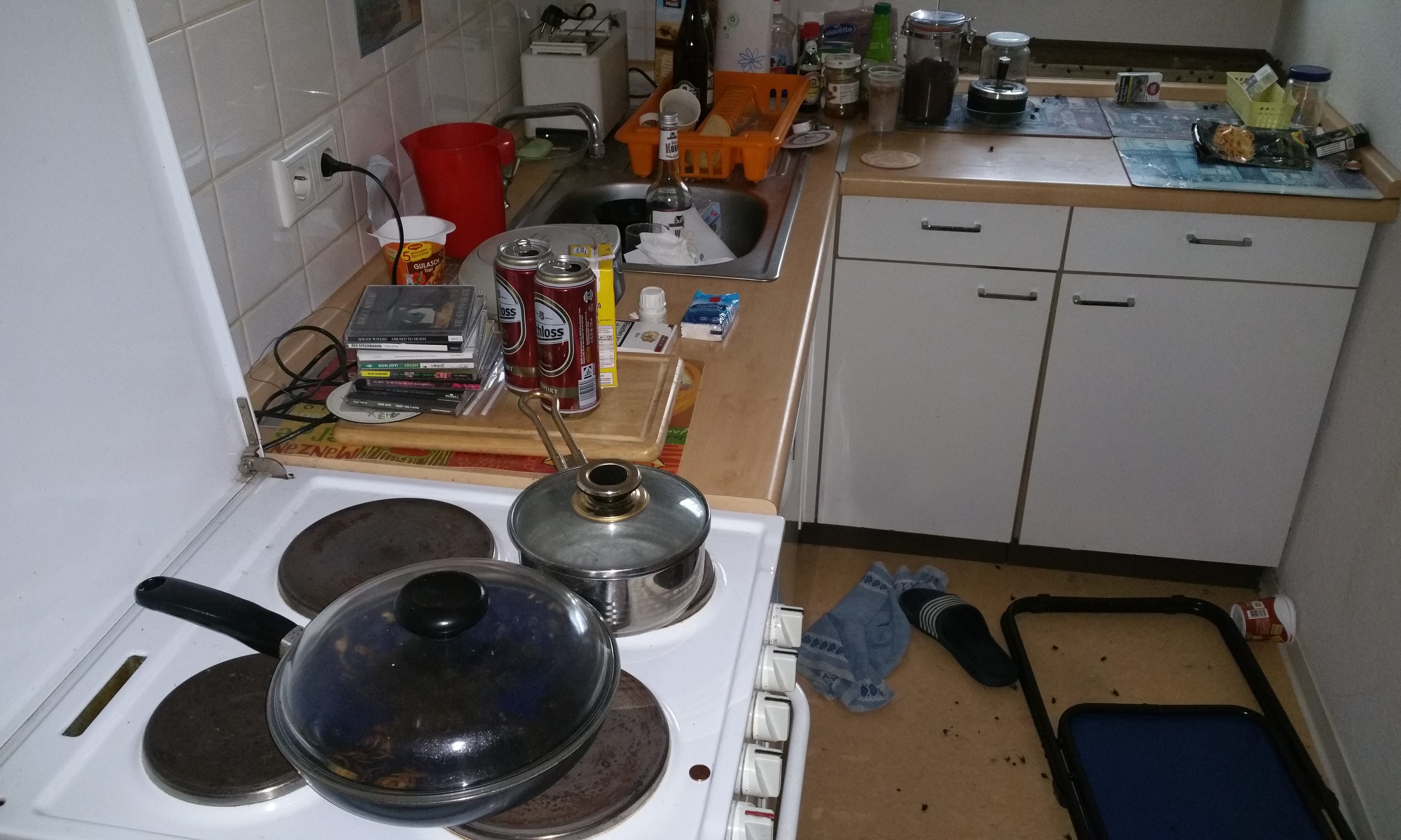 cropped-20170811_125747-1.jpg